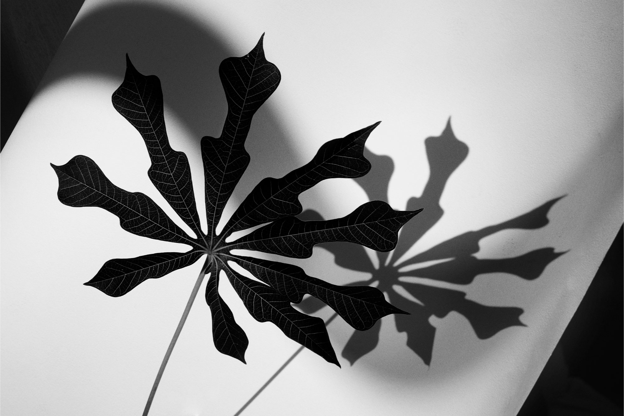 Luciana Val & Franco Musso