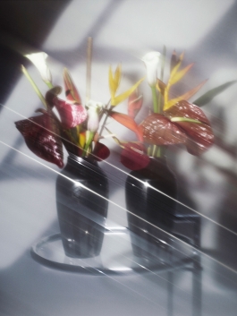 Luciana Val & Franco Musso