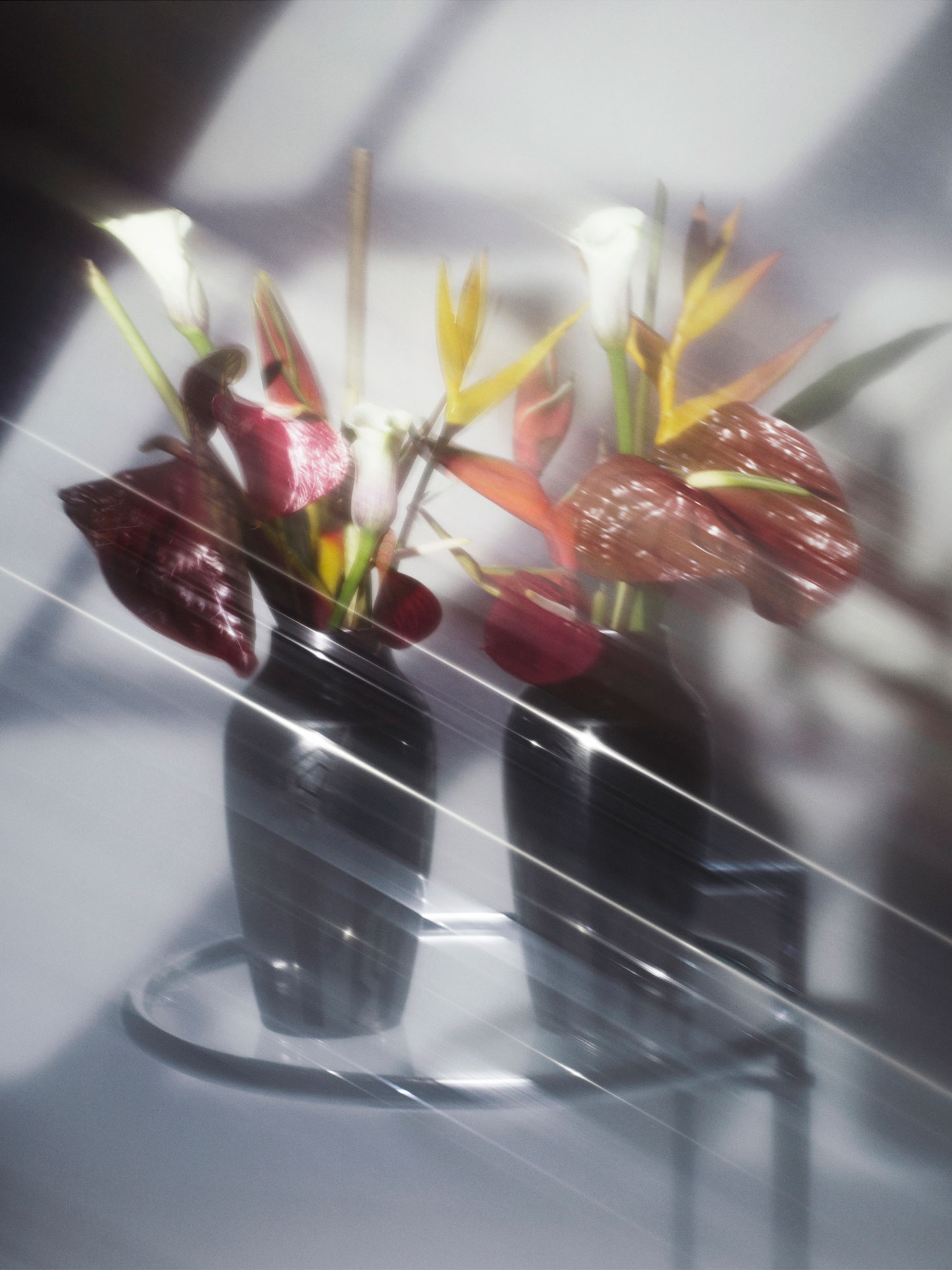 Luciana Val & Franco Musso